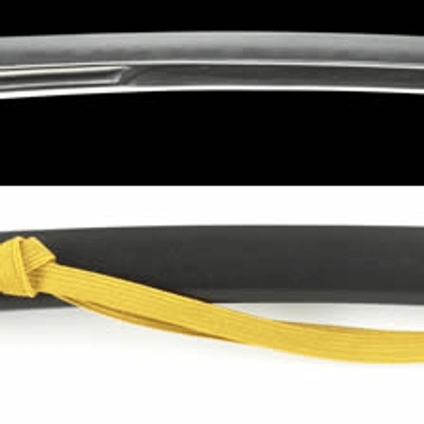 Wakizashi - by Yokoyama Sukekane - Signed "Imazu Mano Kiso-kun Sanju Shodo Nari Yo Shi Osafune Sukekane Saku Kono Katana o Motte Nao Shukuen Nen no Iiun Tenmangu Shinzen Tsutsushimi Tan Hashizume Yukinori Haigu Kaei Ni Kichiyu Haru Shogatsu Kichijitsu"