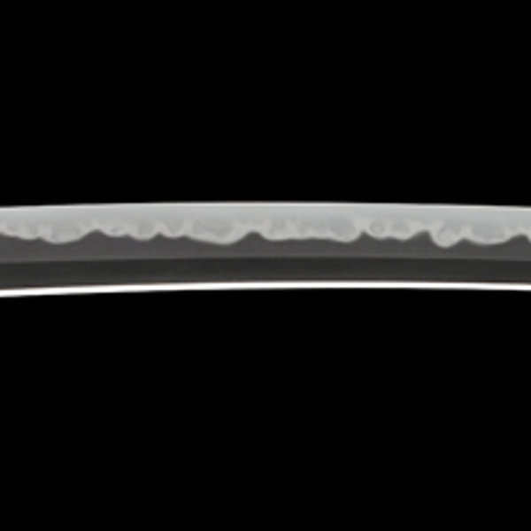 Wakizashi - by Hizen Tadayoshi - Mutsu no Kami Tadayoshi from Hizen Province