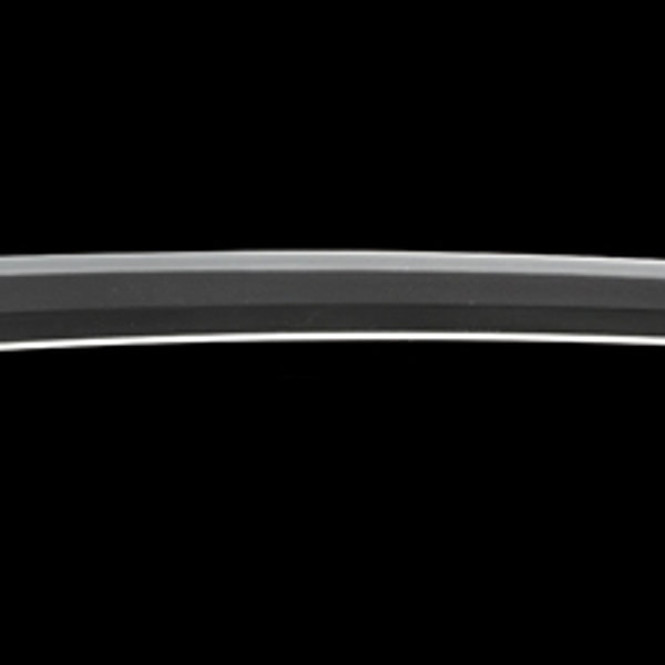 銘 近江大掾藤原忠廣 真鍛 (大業物)