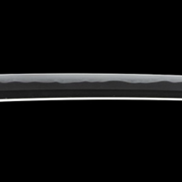 Wakizashi - by Yasuhiro - Bitchu no Kami Tachibana Yasuhiro