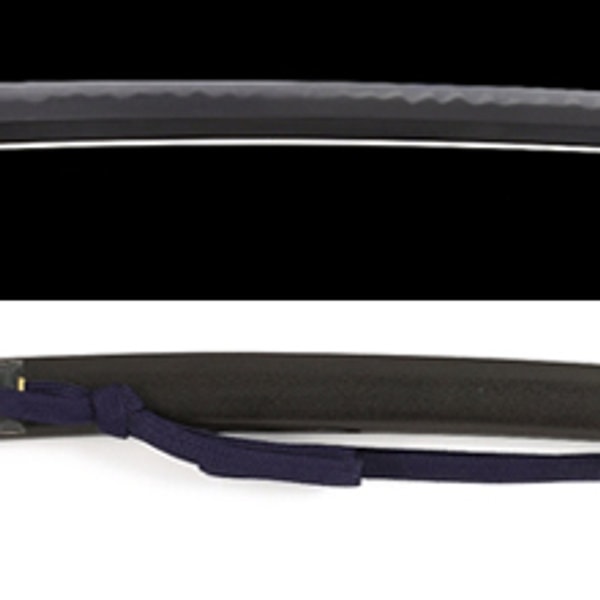 銘 江府住岩井鬼晋麿源正俊 万延元年八月日於南総鶴牧作之