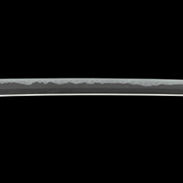 大磨上無銘 兼定