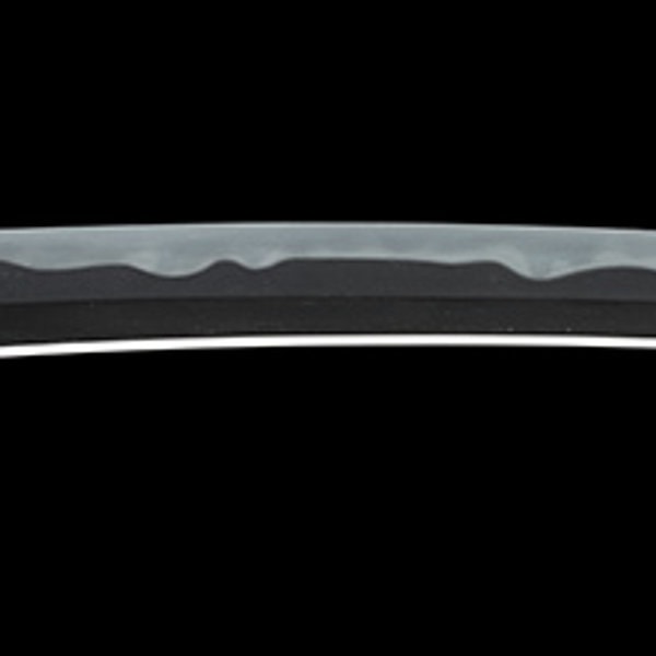 Wakizashi - by Horikawa Kunimichi - 銘 出羽大掾藤原国路(業物)