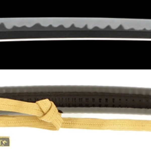Wakizashi - by Monju Shigekuni - Shigekuni (Ryowazamono), 273