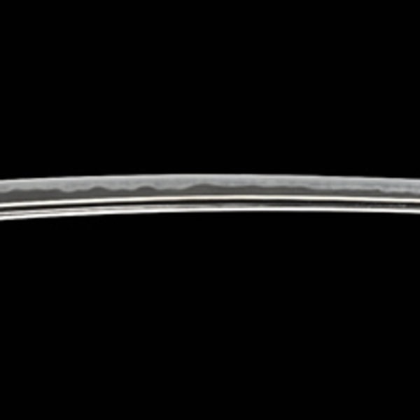 銘 摂津守源忠行 元禄三年午三月三日(業物)