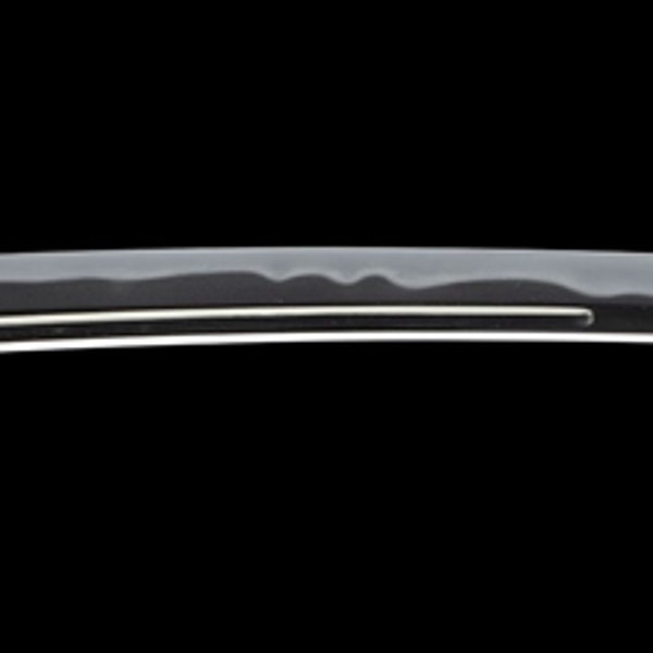 Wakizashi - by Sukehiro Sukenao - 銘 津田近江守助直 元禄三年八月日
