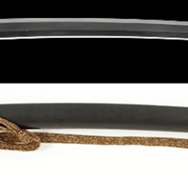 銘 備州長船則光 文明十年八月日(良業物)