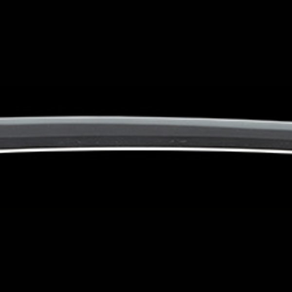 銘 土肥真了 元禄十年八月日(業物)