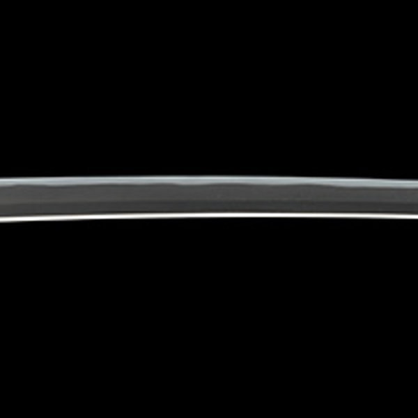 銘 肥前国住近江大掾藤原忠広 寛文九年八月吉日