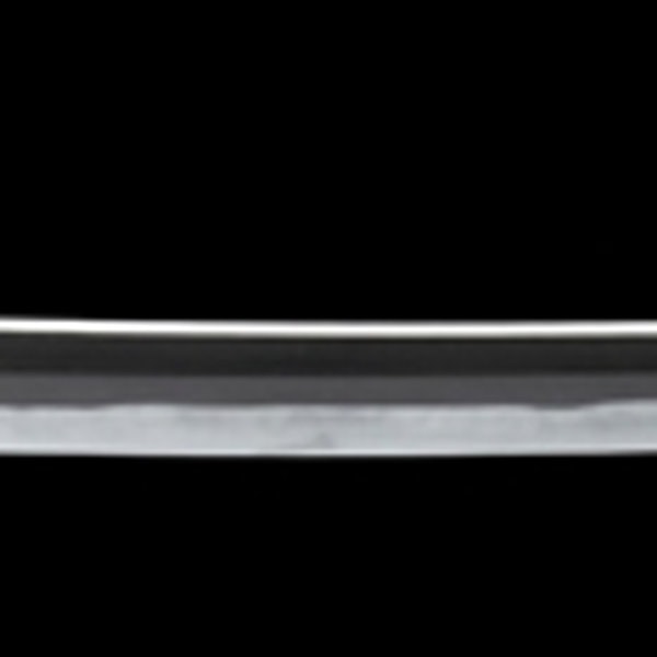 銘 肥前国住近江大掾藤原忠広(大業物)