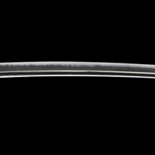 銘 運用之妙存於一心 駒澤知幾佩刀 天保十二年丑仲秋 荘司筑前大掾藤原直胤(花押)