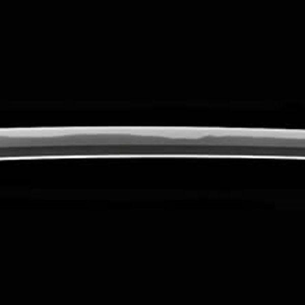 銘 和泉守藤原国貞 切付銘 二ツ胴落(大業物)