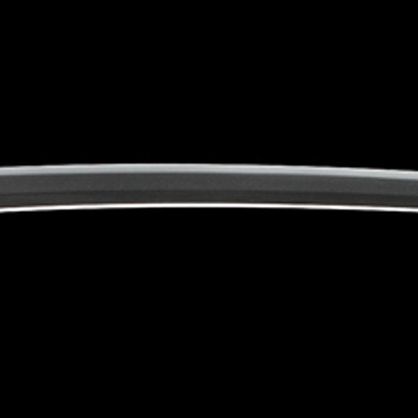 銘 肥前国住近江大掾藤原忠広 正保二年八月吉日