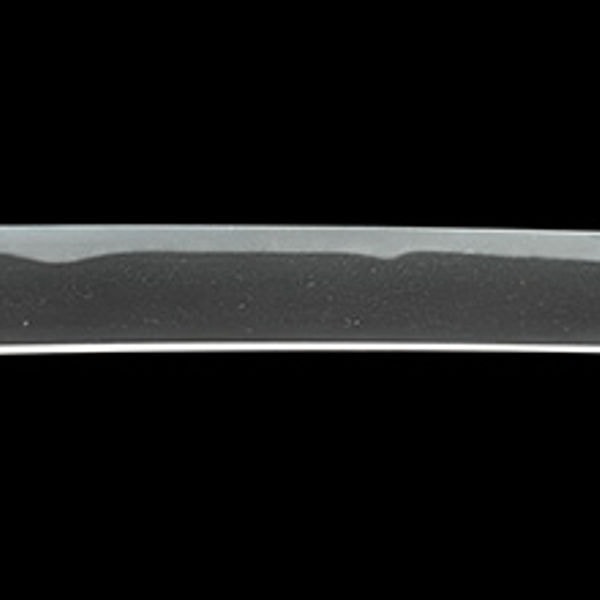Ken - by Hidetatsu - Minamoto Hidetatsu - Tenpo 2nd Year, October, Refined Steel, This Sword is My First Attempt at Forging, Inscribed 'Ryūun'