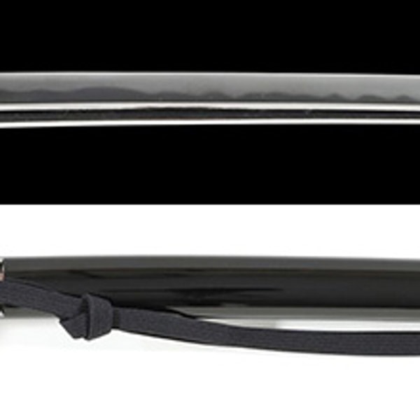 Wakizashi - 作 助廣 - 銘 越前守助広(二代) (大業物)