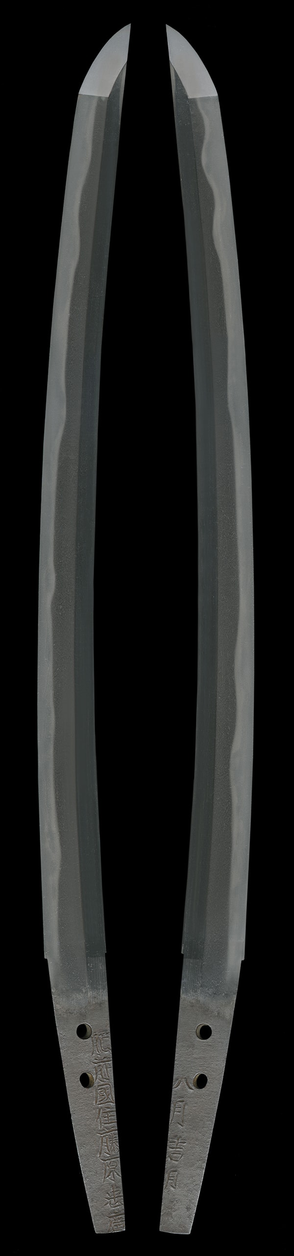 Wakizashi - Tokuho - by Hizen Tadayoshi - 特別保存刀剣 新刀最上作 最上大業物 肥前国住藤原忠広(初代 肥前國忠吉) 一尺四寸七分 打刀拵入、白鞘付