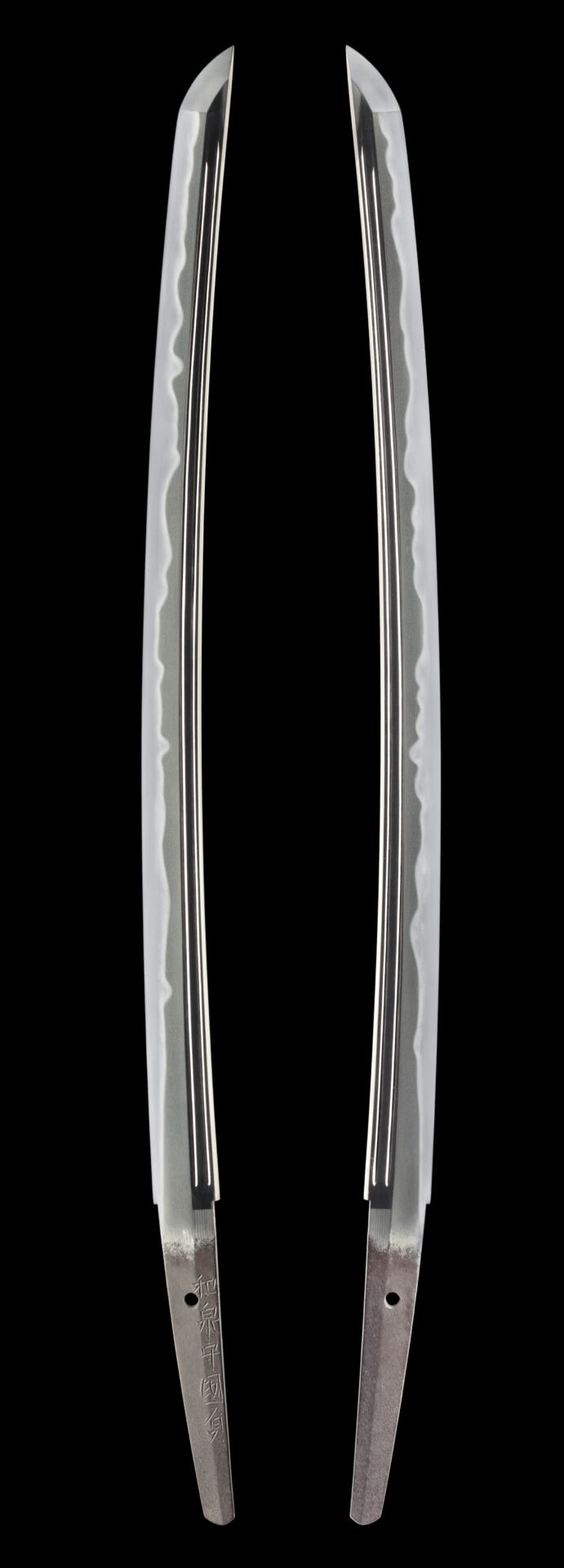 甲種特別貴重刀剣 脇差銘 井上和泉守国貞 (菊紋)寛文七年三月日