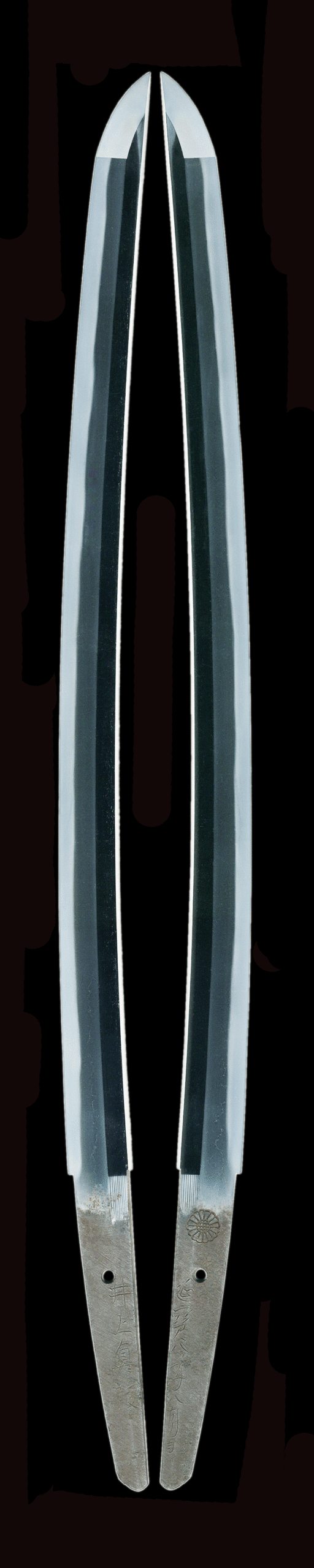 Wakizashi - Tokuho - by Osaka Shinkai - Inoue Shinkai (Kiku Seal) Enpo 8th Year, August