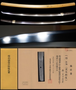 Katana - Tokuho - by Shikkake Norinaga - Shitagake School Founder, Oowazamono 1st Gen. "Shitagake Norinaga" - Tokubetsu Hozon Token Appraisal