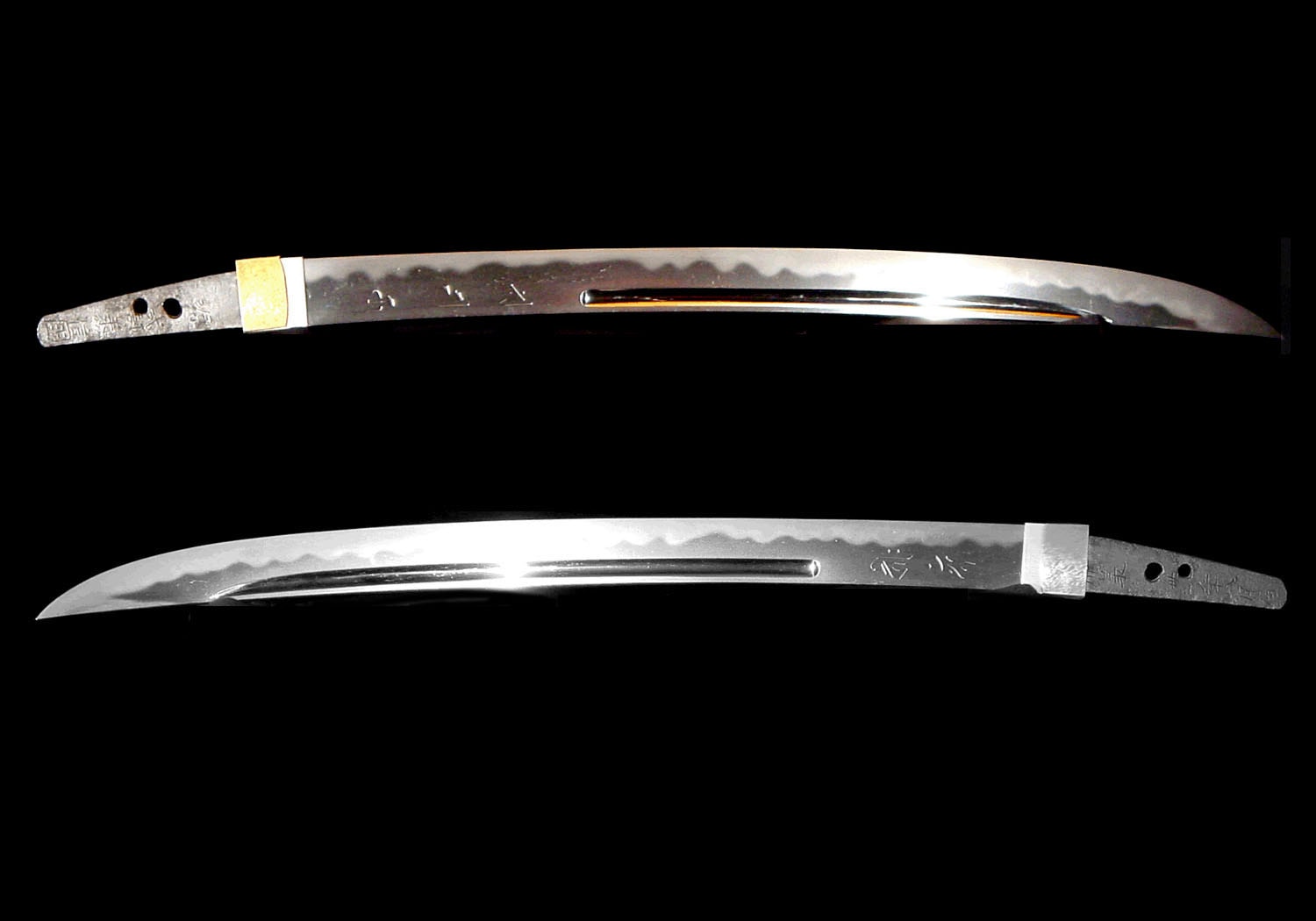Wakizashi - Jūyō - by Nobukuni - 重要刀剣 脇差 式部丞信国 #110514