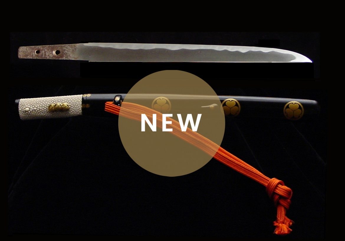 TOKUBETSU JÛYÔ TANTÔ by MORIIE守家 110224