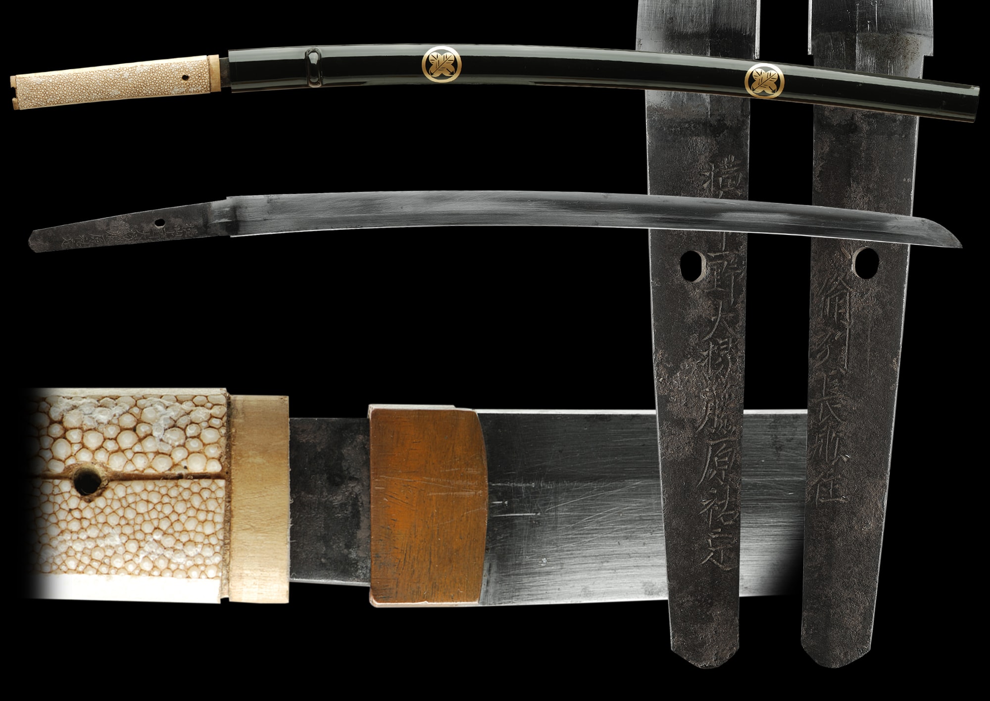 PROJECT WAKAZASHI (fss-799)