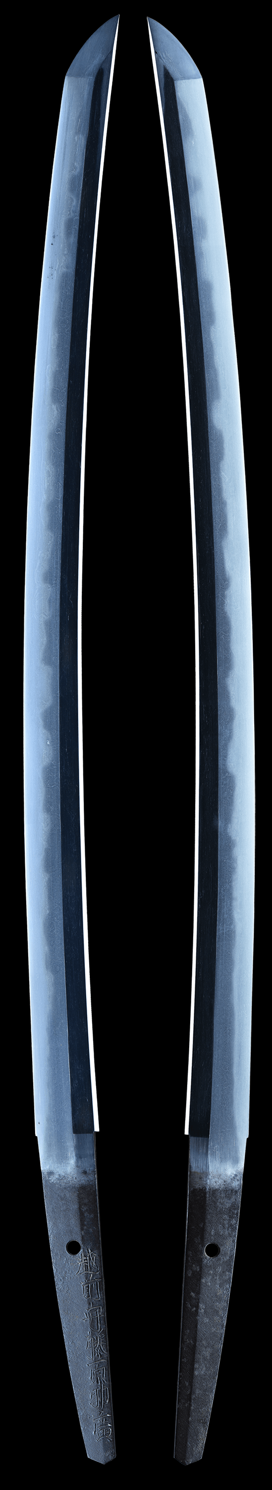Wakizashi - by Echizen no Fujiwara Sukehiro - Shinto Wakizashi Signed Sukehiro