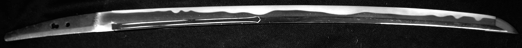 Ise Daijo Tsunahiro Wakizashi