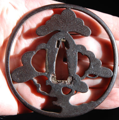 Tsuba - by Nishigaki Kanshiro - Kanshiro - Pine Tree Design