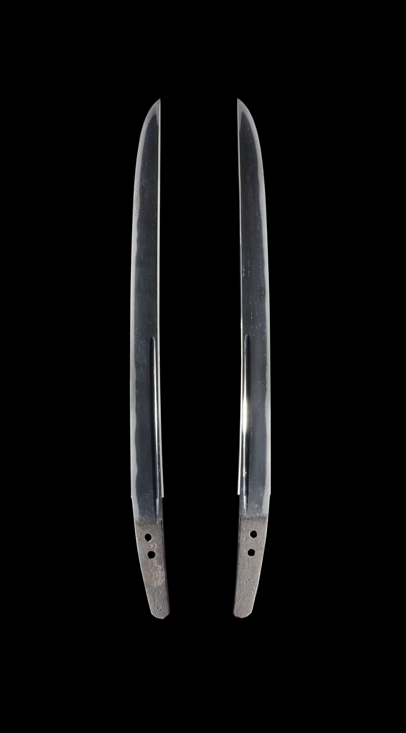 Wakizashi - Tokuho - 作 真景 - 日本刀 脇差 伝加州真景 日本美術刀剣保存協会 特別保存刀剣鑑定書付