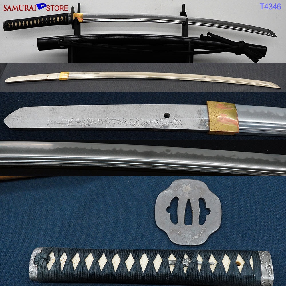 T4346 Contemporary KATANA sword in Ornate Mounting