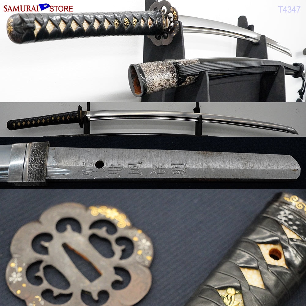 Contemporary KATANA sword in Ornate Mounting