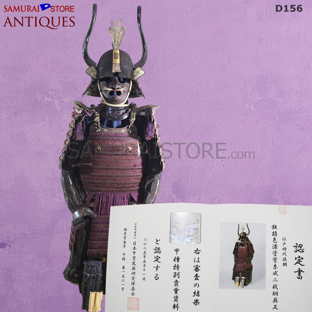 D156 Antique armor