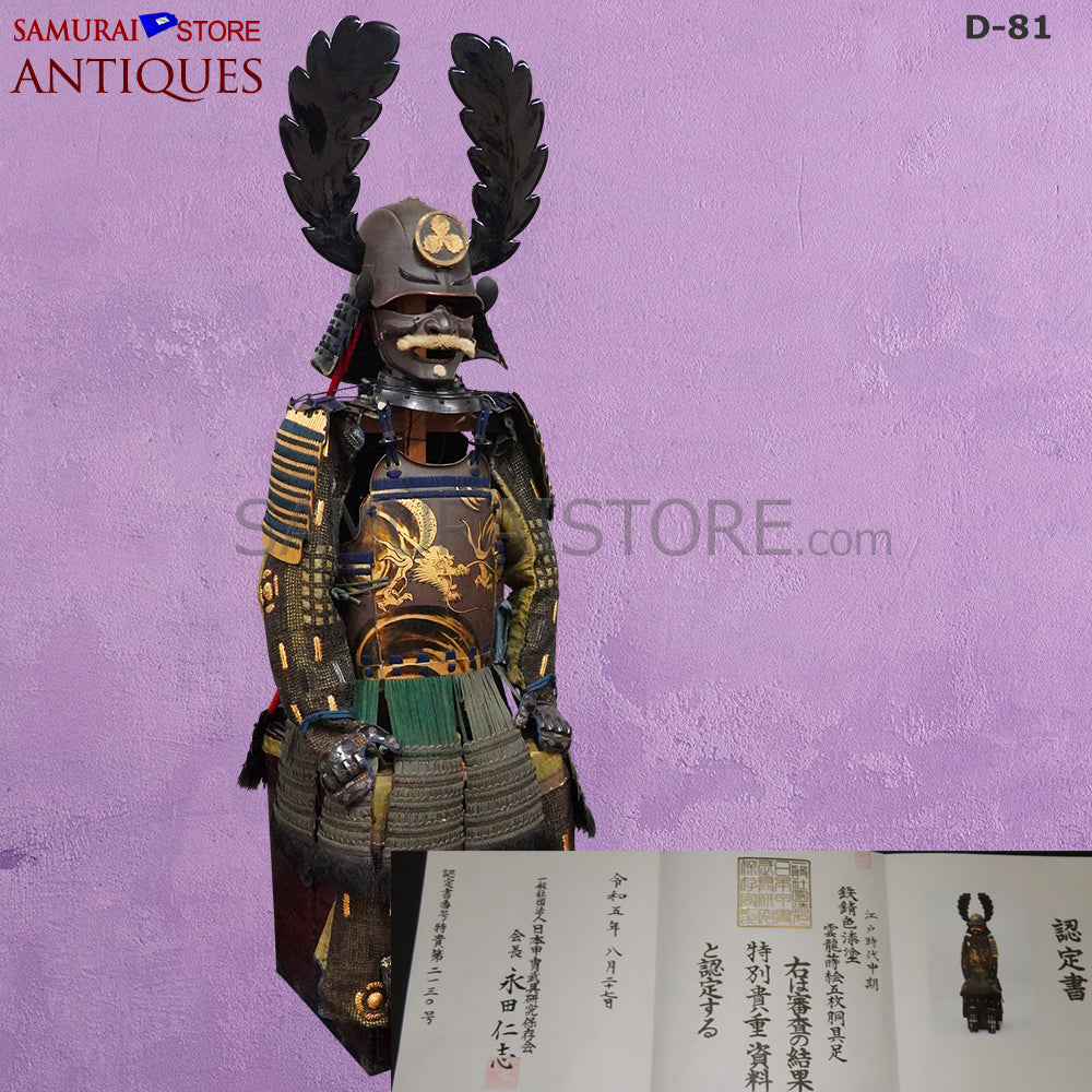 D-81 Antique armor