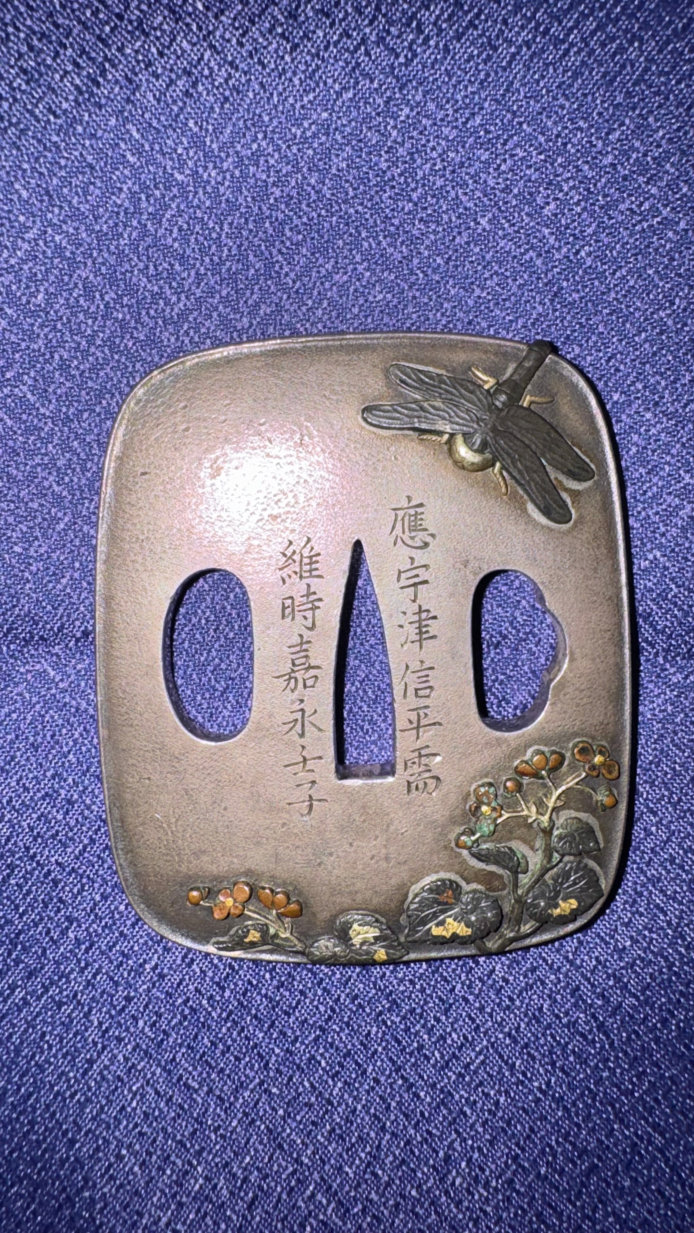 Tsuba - Hozon - by Oishi Akichika - Signed Oishi Akichika, Autumn Bellflower and Victory Bug Design