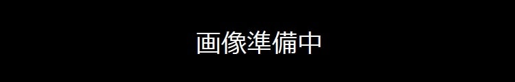 無銘(長船恒弘) (備前)(山陽道)