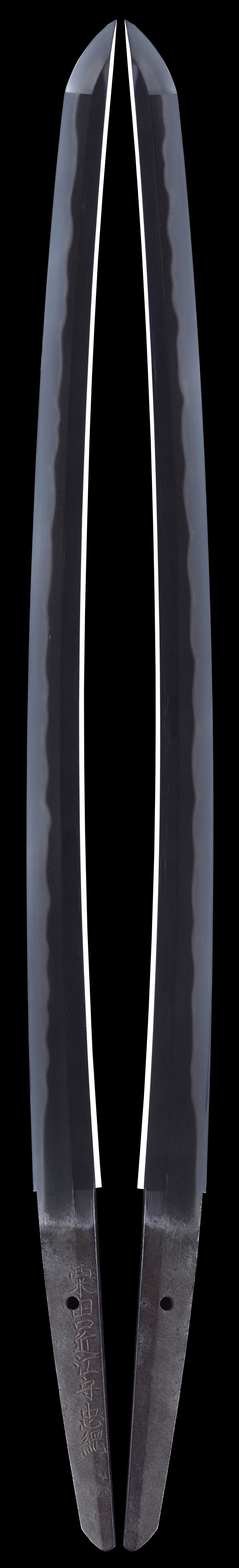 Wakizashi - Tokuho - by Shinto Tadatsuna - 脇差 白鞘入り