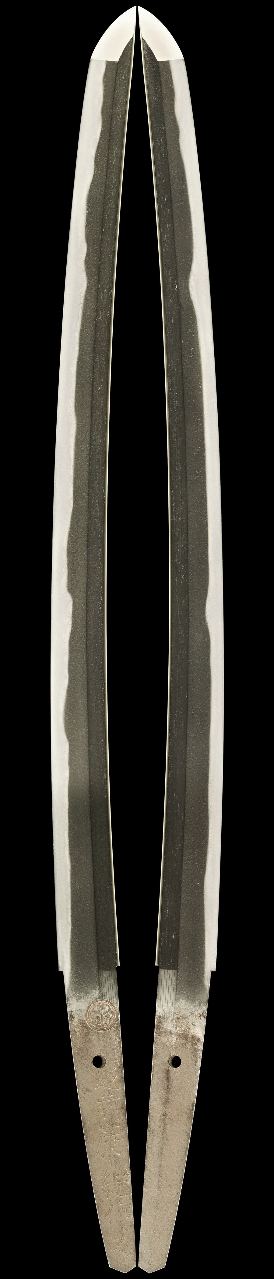 Wakizashi - Tokuho - by Echizen Yasutsugu 3rd Gen. - 脇指 銘 (葵紋)越前康継作之(越前三代)