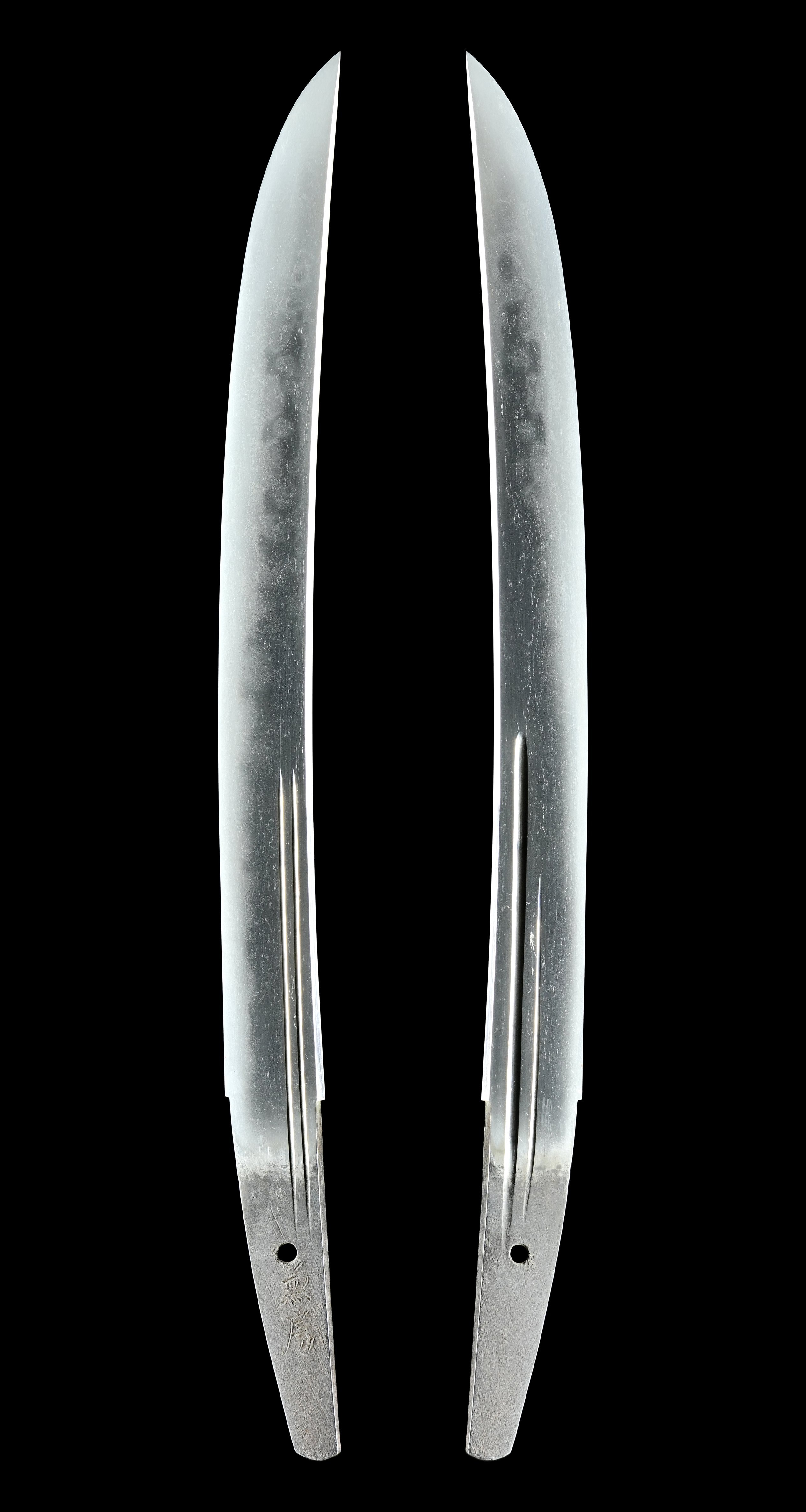 Wakizashi - Tokuho - by Seki Kanefusa - Kanefusa