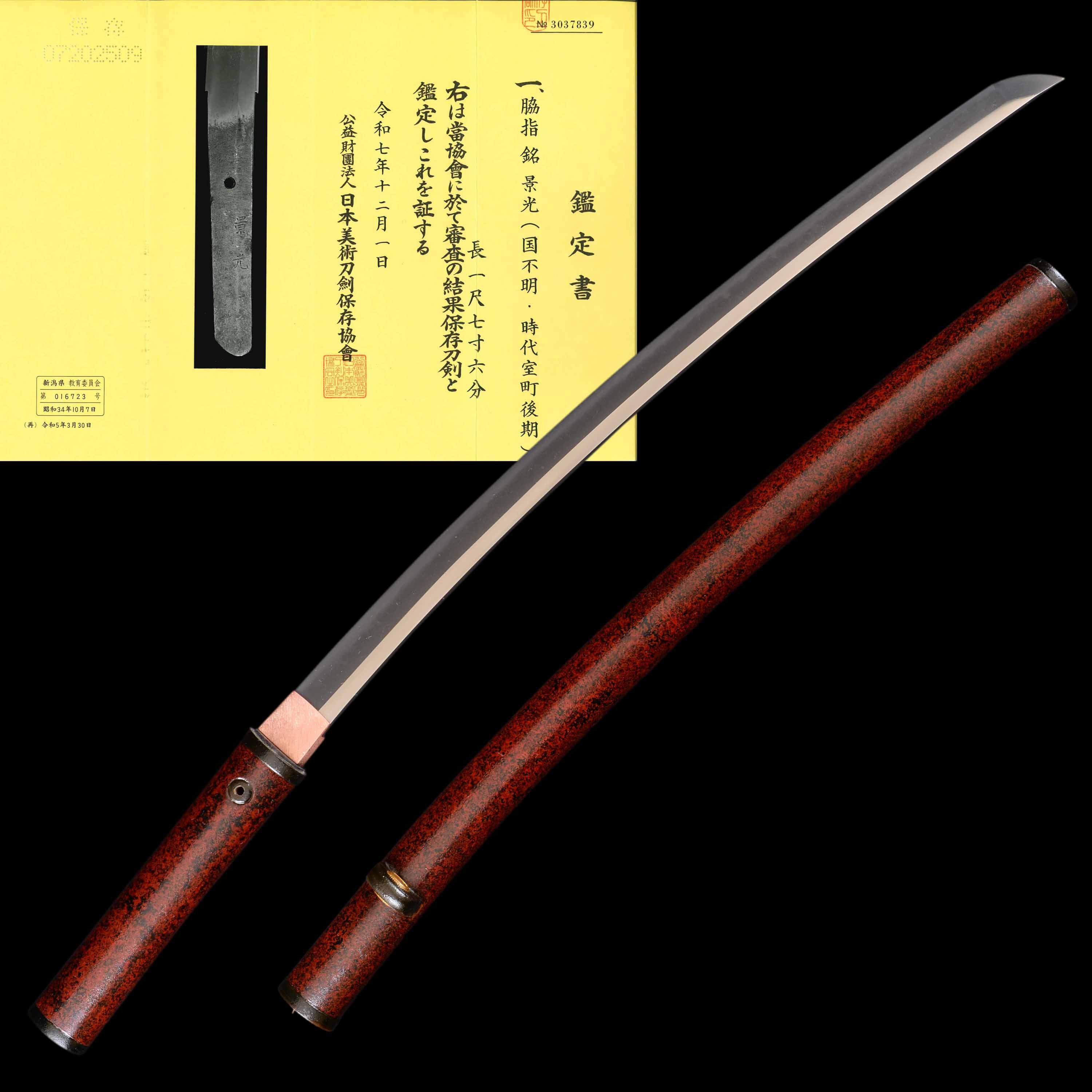 Wakizashi - Kagemitsu - NBTHK Hozon Certificate - Aikuchi Koshirae/Shirasaya - Ubu Nakago - Koto Era - Niigata 016723