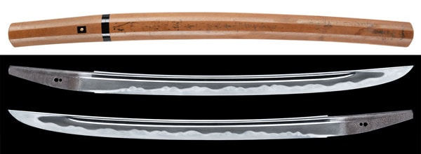 Wakizashi - Tokuho - by Shitahara Terushige - Bushu-Shitahara ju Terushige (Wazamono) - NBTHK Tokubetsu Hozon Token