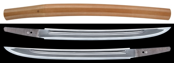 Wakizashi - Tokuho - by Hizen Tosa no Kami Tadayoshi - Musashi-Daijo Fujiwara Tadahiro