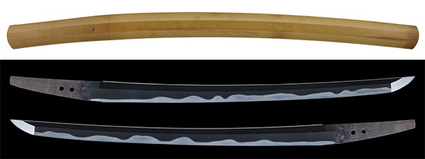 Wakizashi - Tokuho - by Ko-Uda School - Ko-Uda - Wazamono, NBTHK Tokubetsu Hozon Token
