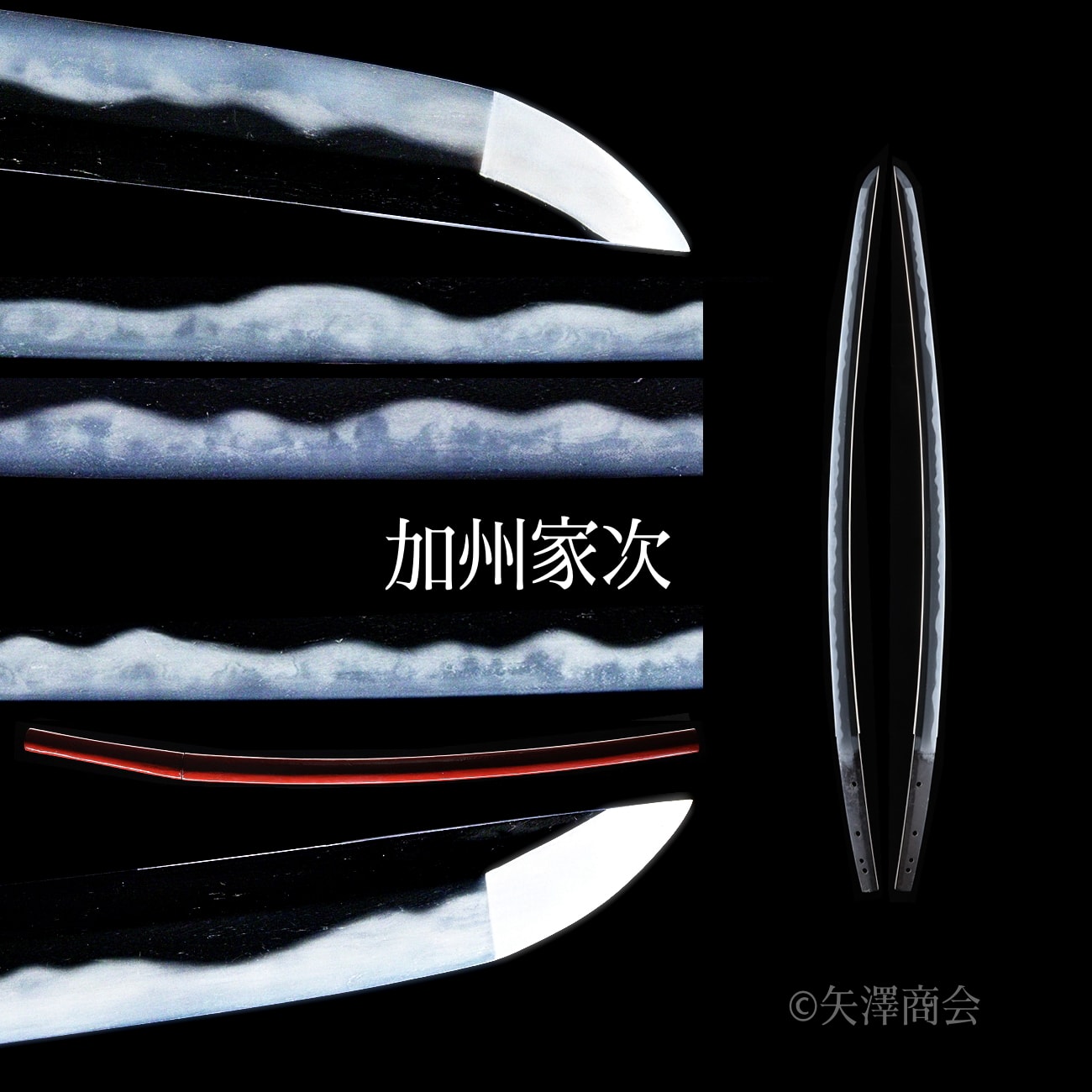 k240424i 徳川歴代将軍の花押(十一代似) 大磨り上げ金象嵌残りの御刀 伝加州家次 朱鞘付