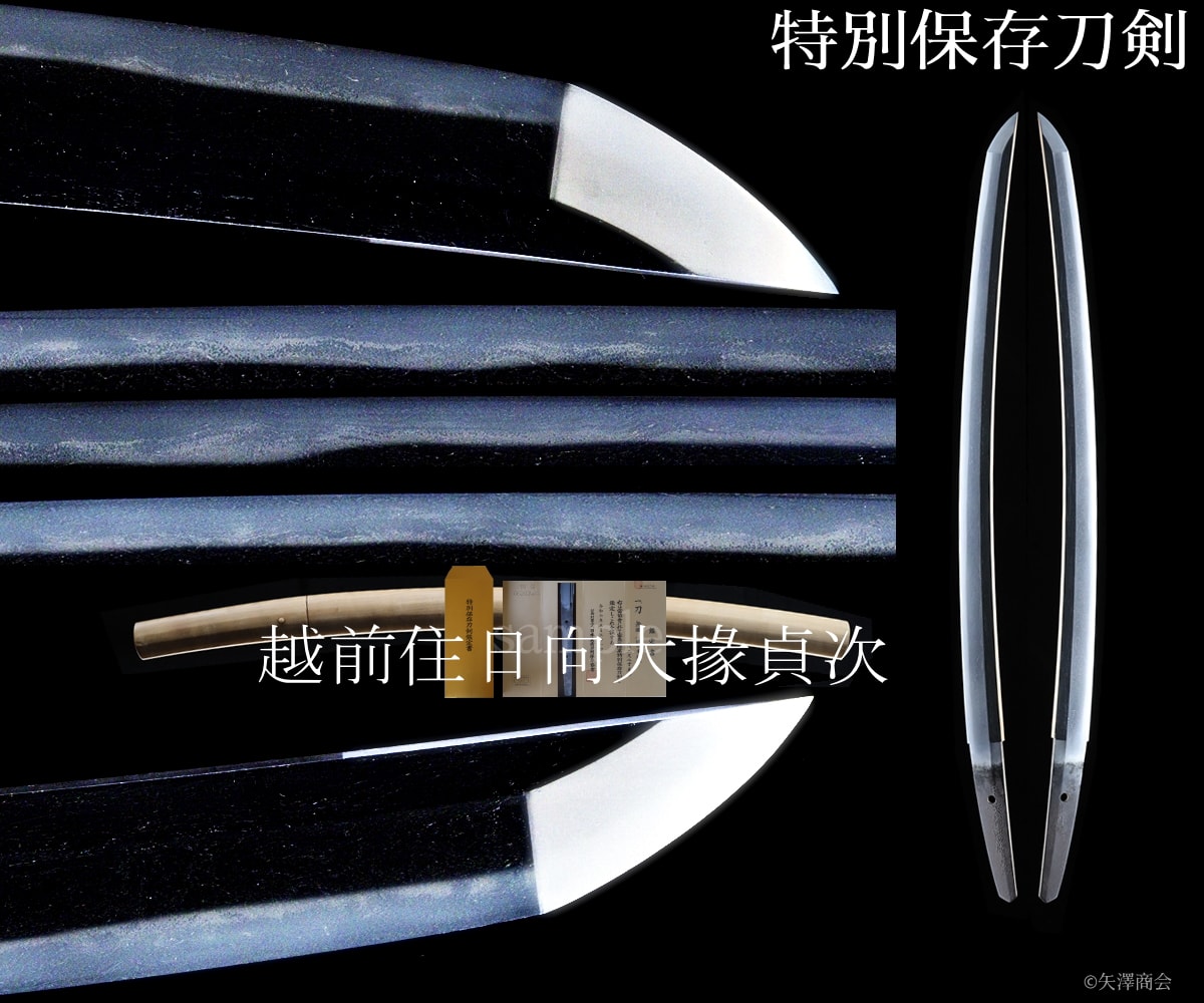 Wakizashi - Tokuho - by Shimosaka School - Echizen ju Hinata Daijo Sadatsugu - Tokubetsu Hozon, Nagasa 49.4cm, Sori 1.4cm, Early Edo Period