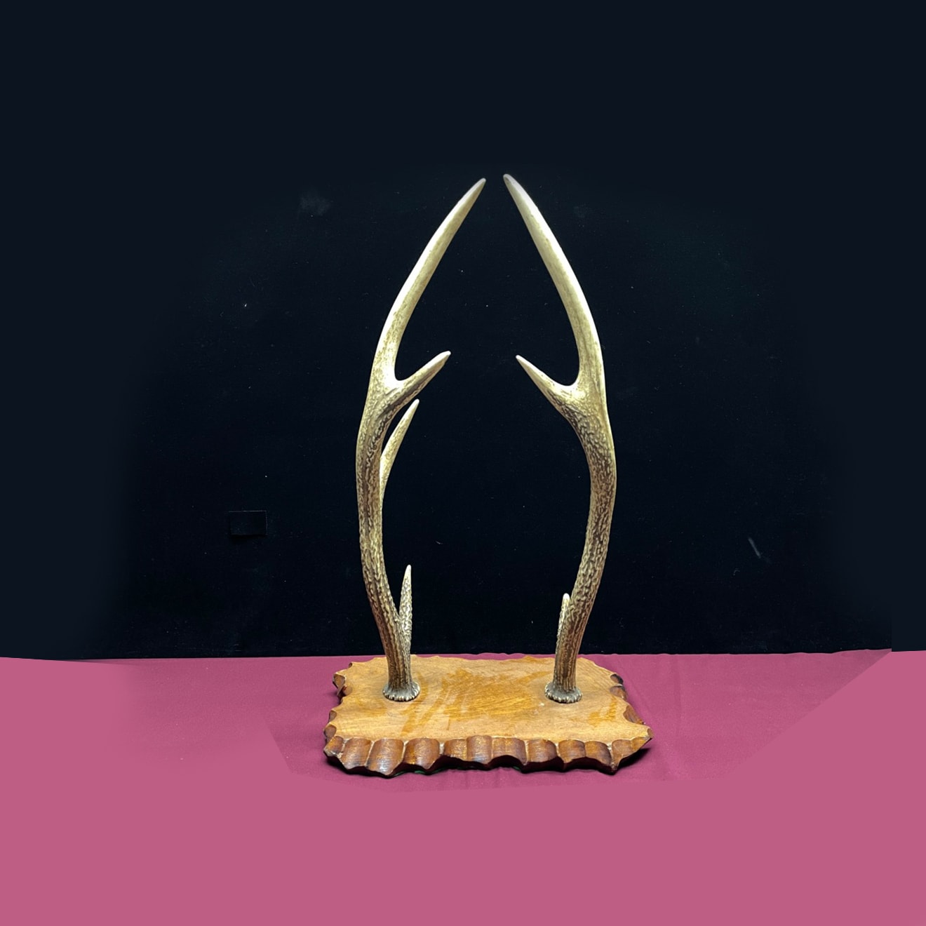 Stand - Deer Antler Tanto Kake
